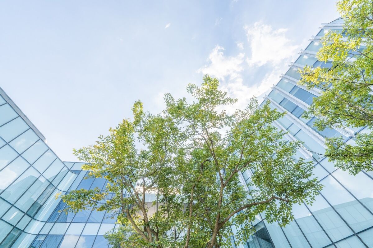 Investition in die Grünen Pfandbriefe der DZ HYP Gläserne Front eines Bürogebäudes mit leuchtend grünen Bäumen, darüber blauer Himmel mit weißer Wolke